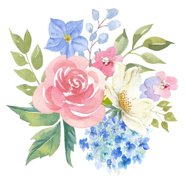 иллюстрации цветов