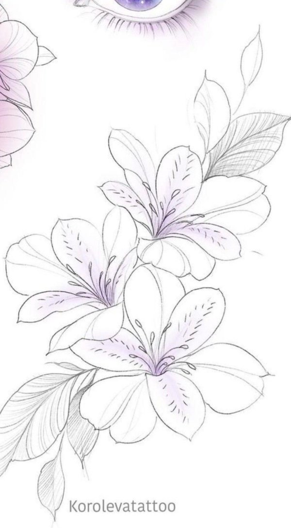 красивый цветок рисунок карандашом