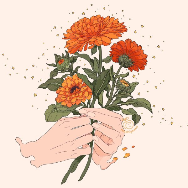 рука держит букет
