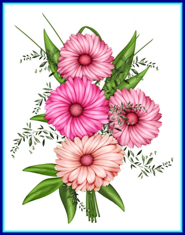 маргаритка botanical