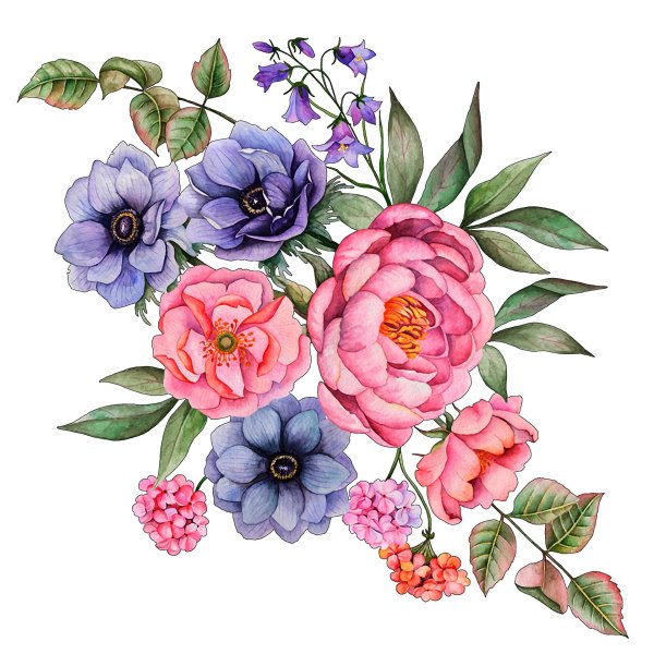 акварельная иллюстрация