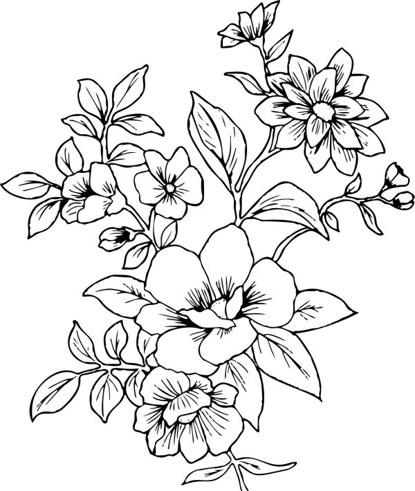 цветочная раскраска