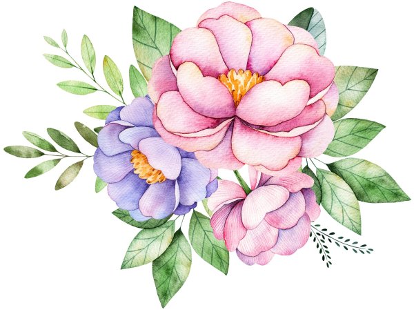 цветки рисунки