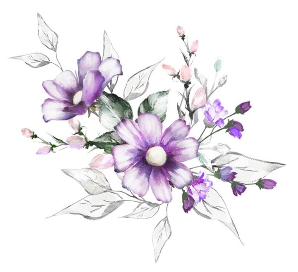 цветки рисунки