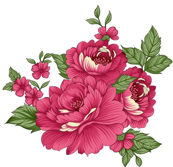 цветок красивый рисунок