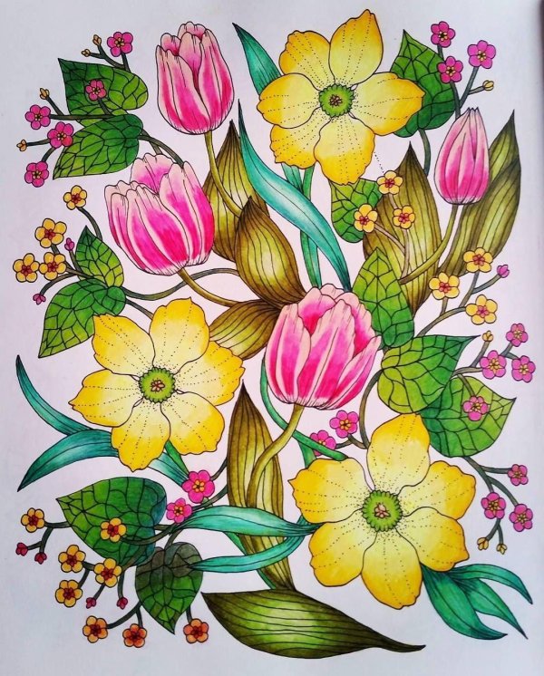 цветки рисунки