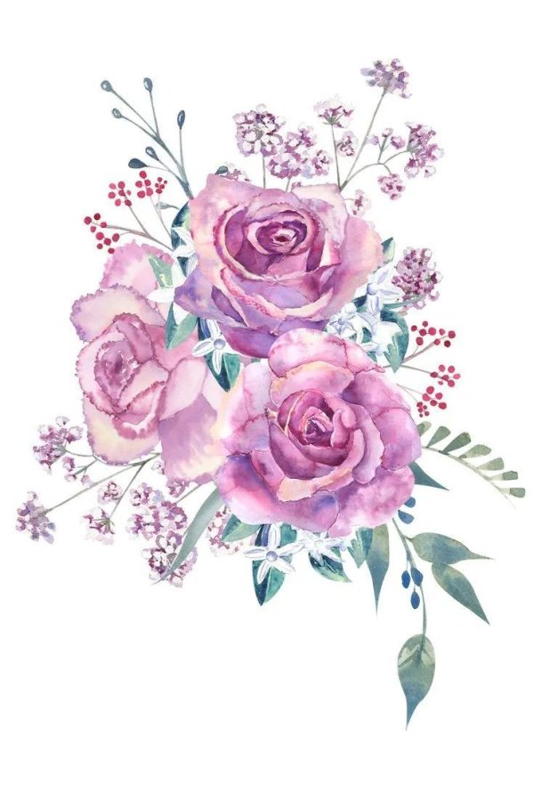 букет роз акварелью