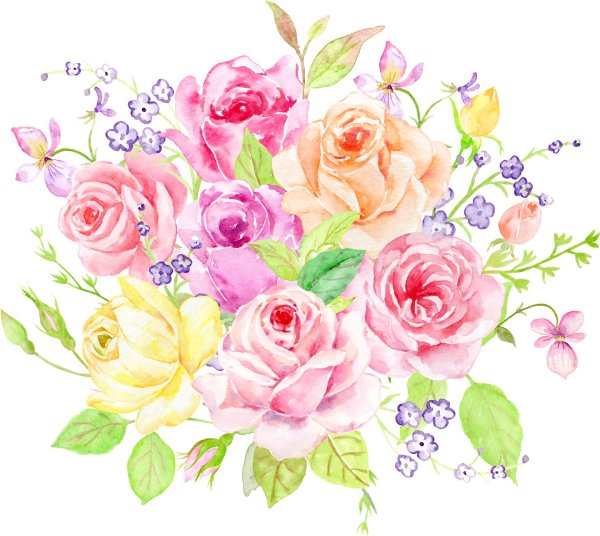 акварельные розы