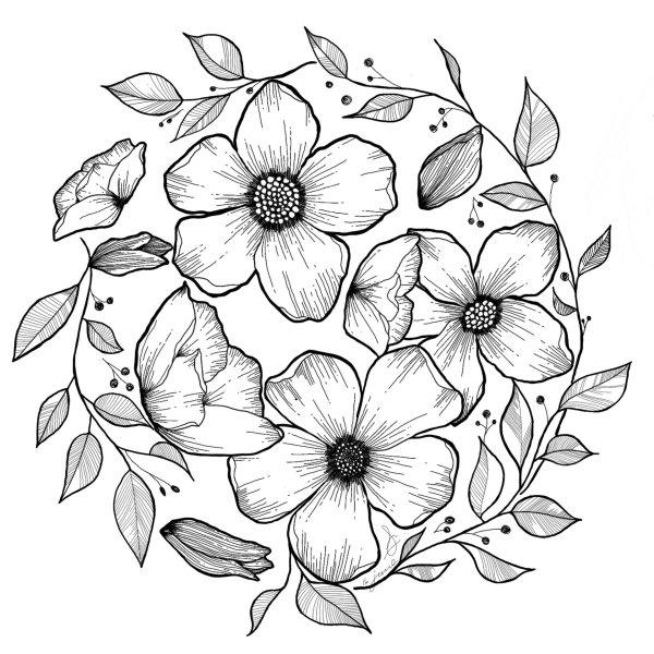 цветочная раскраска