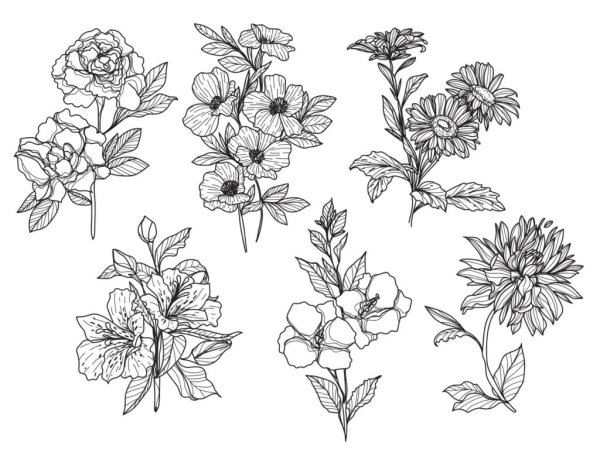 цветок эскиз