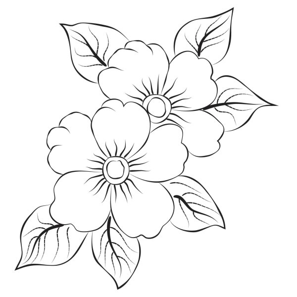 desenho de flores