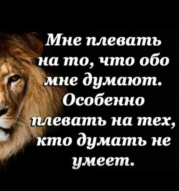 льву наплевать что о нем думает овца