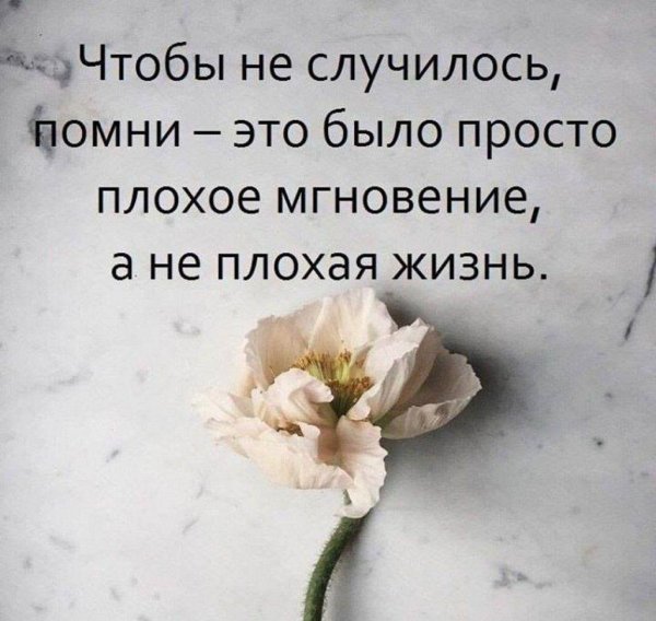 плохая жизнь