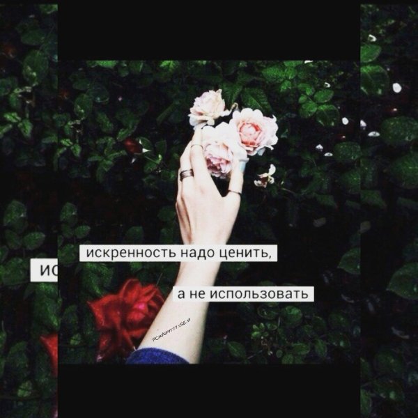 красивая цитата