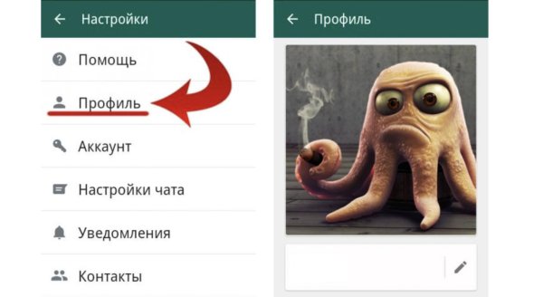 аватарка в ватсапе