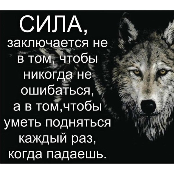 слова волка