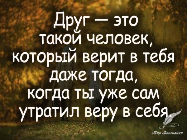 друг цитата