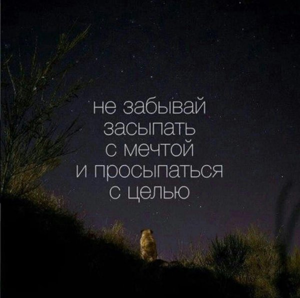 засыпай с мечтой просыпайся с целью