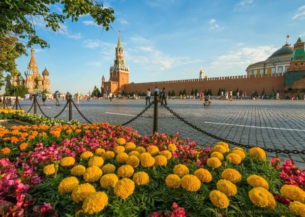 красная площадь летом