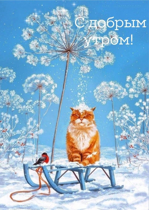 доброго утра зимнего