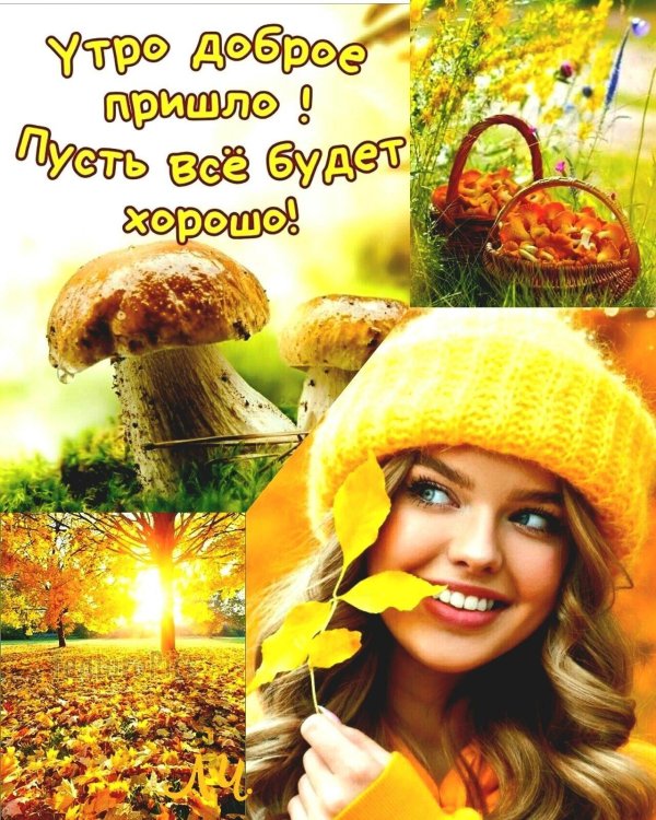 доброго утра осеннего