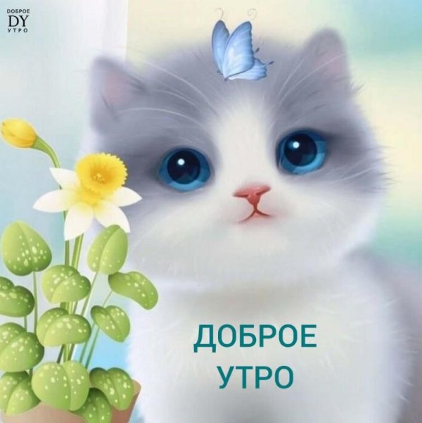 доброе утро няшные