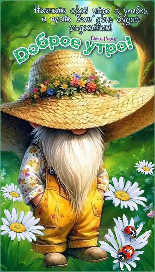 летнее утро доброе