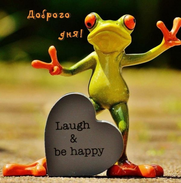 лягушка прикольная