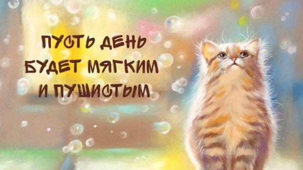 день пушистой нежности