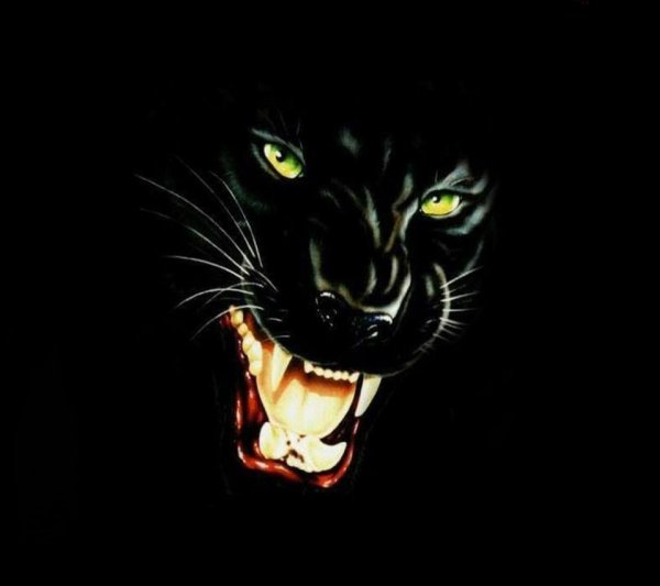 злая пантера