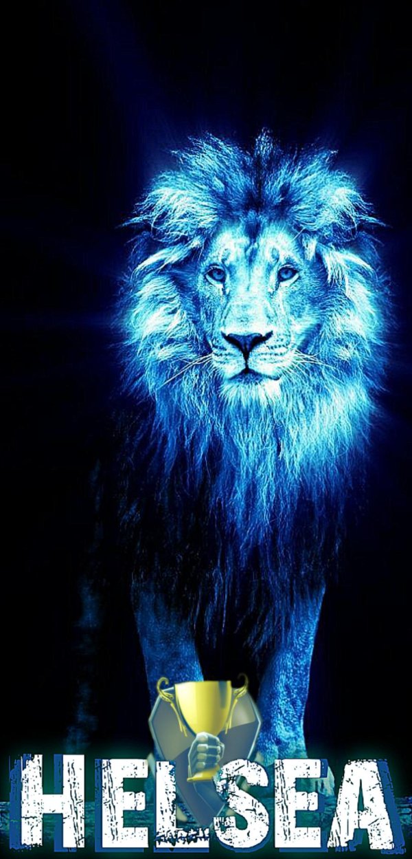 голубой лев