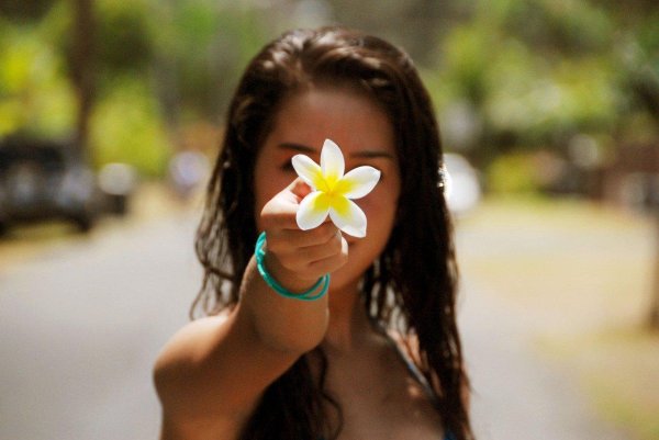 цветок плюмерия