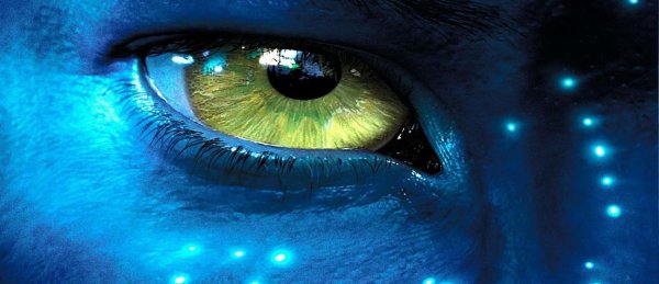 james cameron s avatar