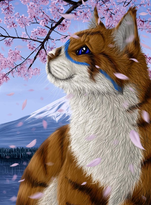 картины животные