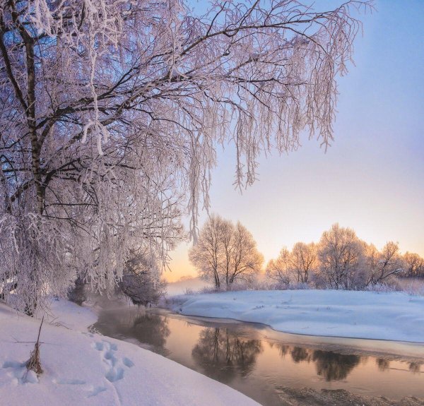 февральский пейзаж