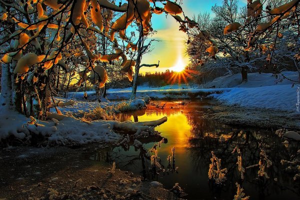 красивые пейзажи ранней весны