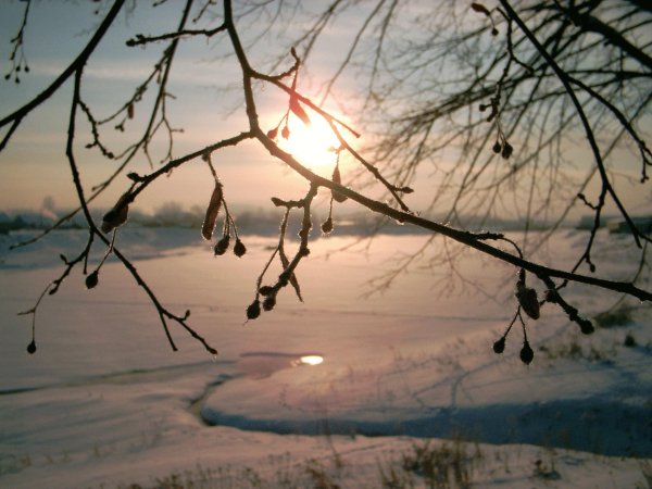 утро ранней весны