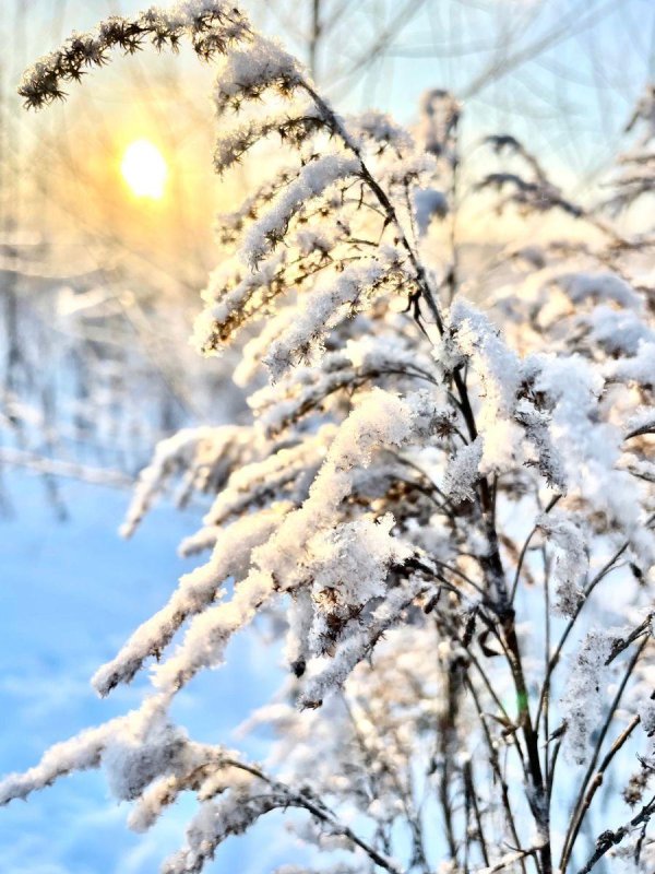 солнечная зима