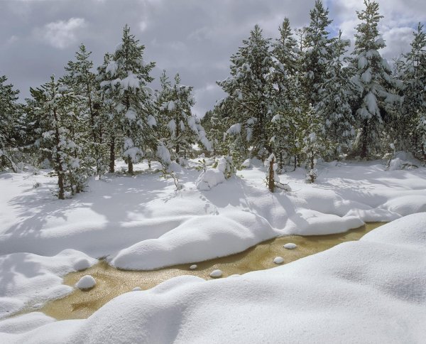 природа февраль