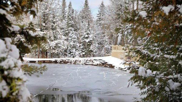 зимний пруд