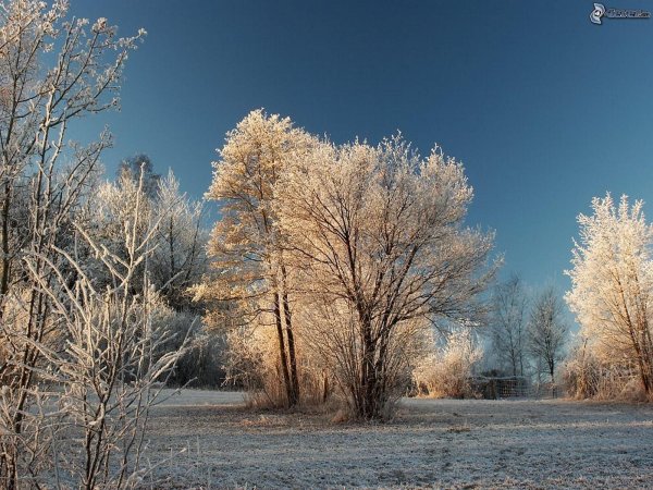 ранняя зима