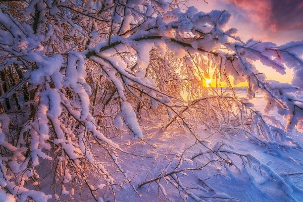 солнце зима