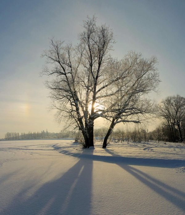 зимнее солнце