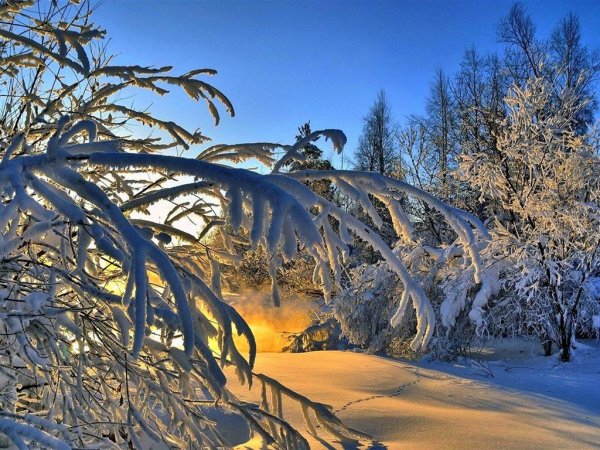 Конец февраля