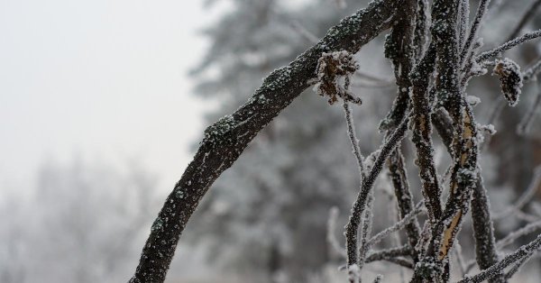 начала зимы