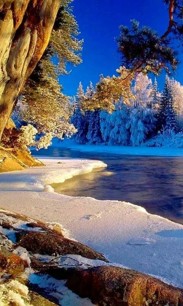 зимняя природа