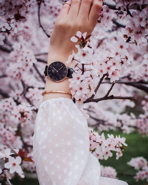 эстетика весны пинтерест