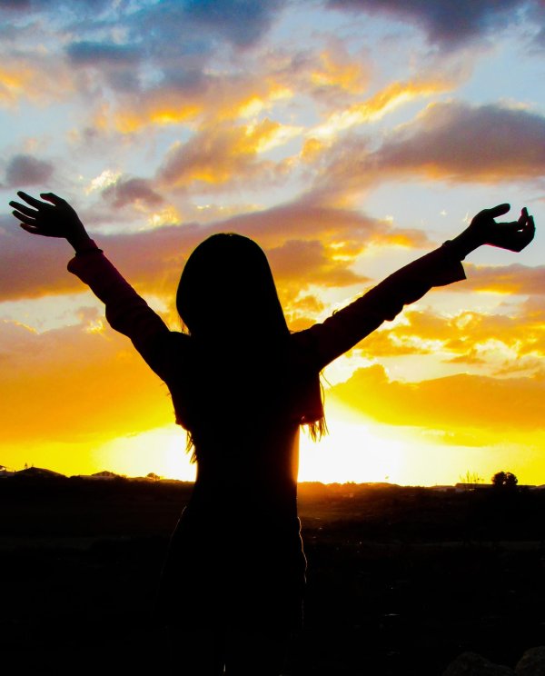 тянемся к солнцу