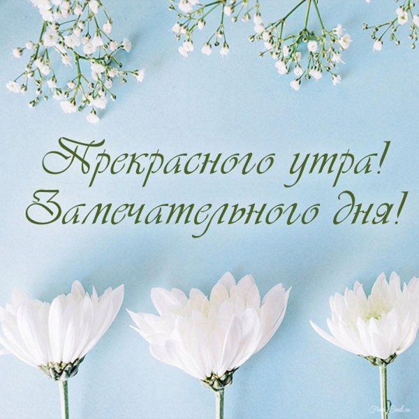 красивые открытки на каждый день