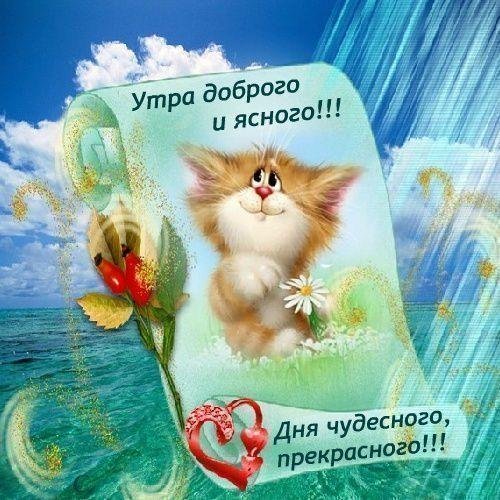 доброго солнечного утра и чудесного дня